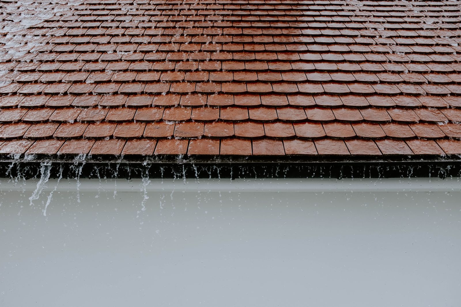Démoussage et traitement hydrofuge de toiture